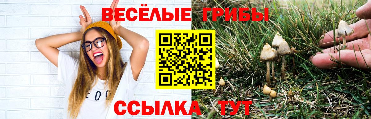 Псилоцибиновые грибы Cubensis  Вход с VPN  Воскресенск 